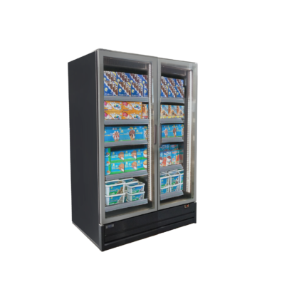 Freezer Upright Double Glass Door (Plug-in)